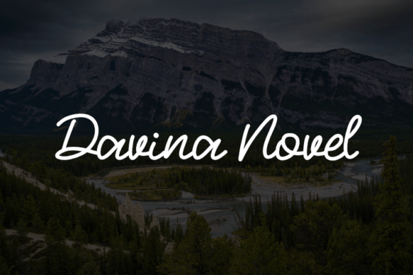 Davina Novel: A Elegant Script Font