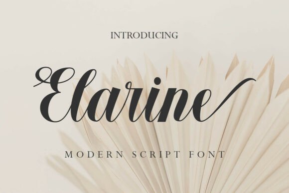 Elarine: A Modern Script Font for Business