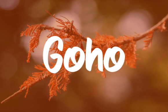 Goho: A Modern Typeface for Web Design